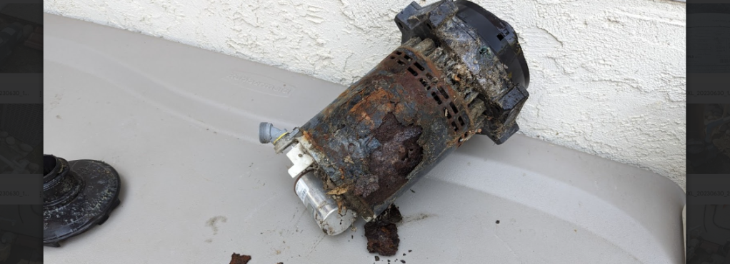 Replacing our 30 year old Pool Pump
